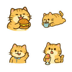 Foodie Chubby Cat