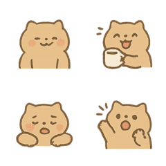 圓圓貓貓日常