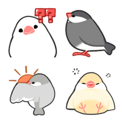 With a Emoji Java sparrow Emoji