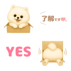 White Pomeranian emojl