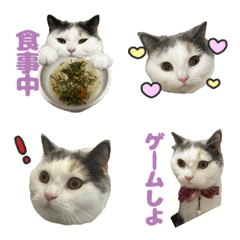 なずなちゃんの絵文字