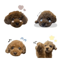 tsukune.emoji