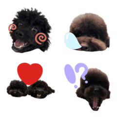 puu&pomu