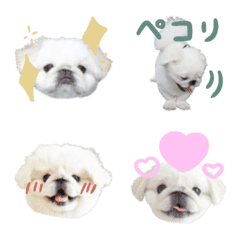 ポン太の絵文字