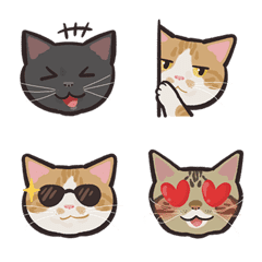 喵～so cute