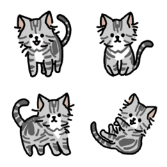 Kitten American Shorthair Emoji