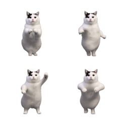 猫ミーム(絵文字)