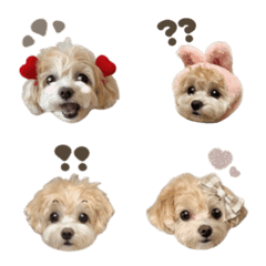 lulu.emoji