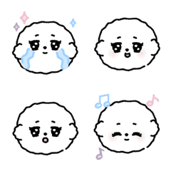 Bichon chu 21 combination
