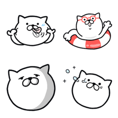 Pretty kitten EMOJI 9