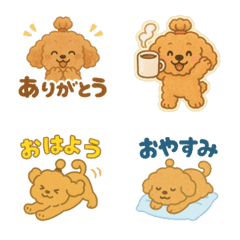brownpoodle