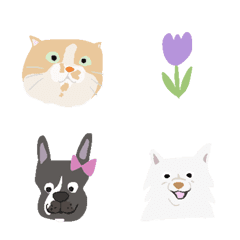 愛する家族たち　犬猫　R-habit