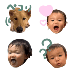 ロイきい
