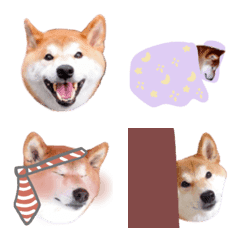 こてつの絵文字