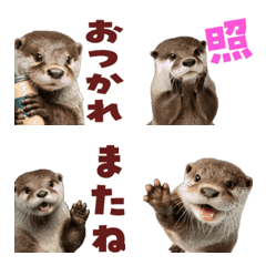 Moving Realistic Otter Emoji