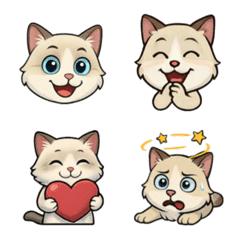 Ragdoll Cat Emojis 2