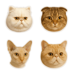 Cat Lover's V.1