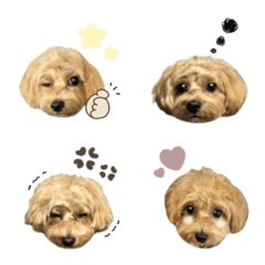 loa.emoji.