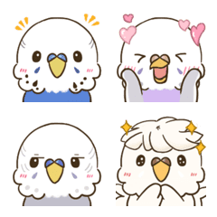 [white faced]budgerigar