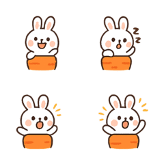 胡蘿蔔兔Carro的萌動時刻