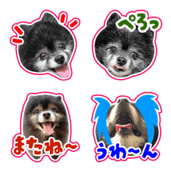 kuropomeKUMA
