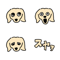 ゆるめのダックスフンド