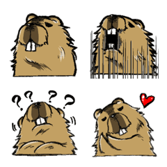 圧が強いマーモット絵文字