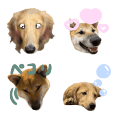 もち＆チップのゆる絵文字