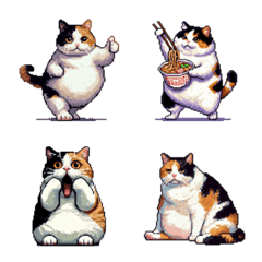 無言で伝える太っちょ三毛猫
