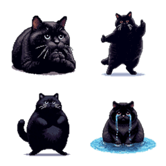 無言で伝える太っちょ黒猫