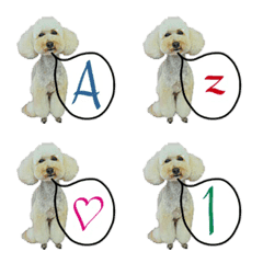 poodle's alphabet number