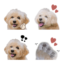 maro.emoji.4