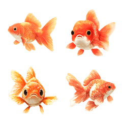 リアル金魚絵文字