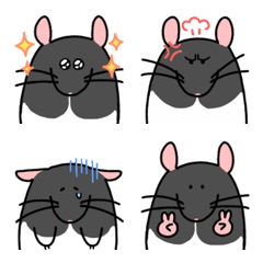 Fancy Rat