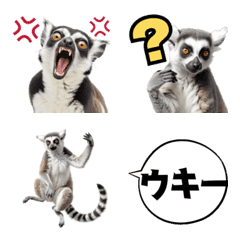 Everyday Life of Ring-tailed Lemur