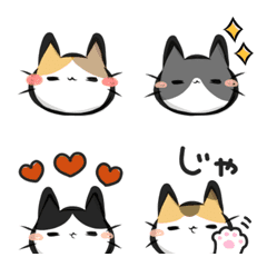 Welcome to Cat Land