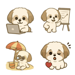 Shih Tzu Okami Cute