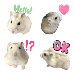 Hamster Emoji for private