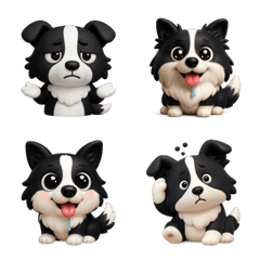 Border Collie says hello