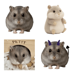 Ponsuke the Hamster