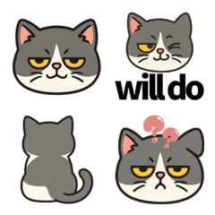 Luka the Exotic Shorthair Emoji