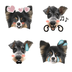 つくしモモじんVer.１