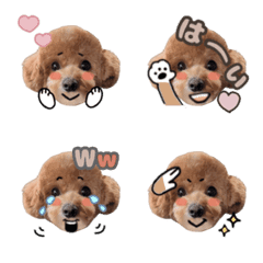 トイぷーあっしゅ