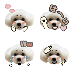 トイプードルのアルくん絵文字