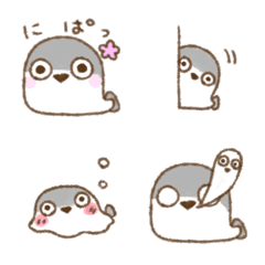 sacabambatyupityu