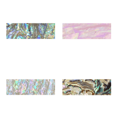 bling bling shell