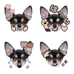 sammy_emoji3