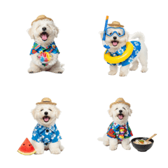 DOG GOOD  Emoji58