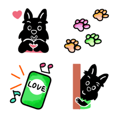 スコティッシュテリアのブラックさん