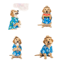 DOG GOOD  Emoji60